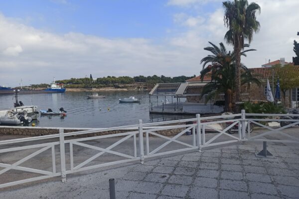IMG_20221115_121051[1]